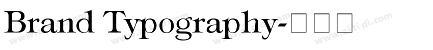 Brand Typography字体转换 Brand Typography字体转换